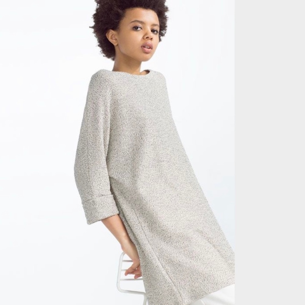 Zara Knit Sweater Dress